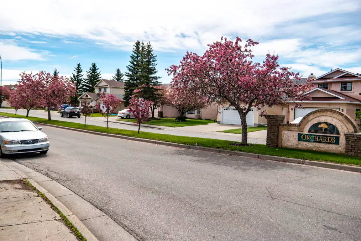 A residential street in Applewood Park